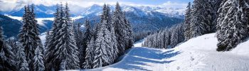 wintersportunfälle