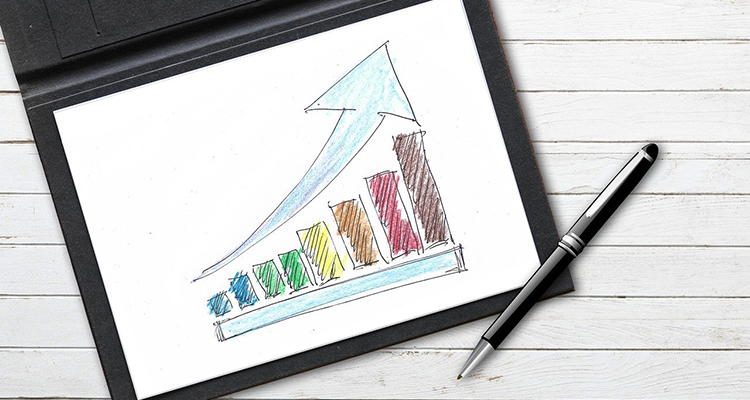 Sicherheitsindustrie wächst – vor allem in einem Bereich ses
