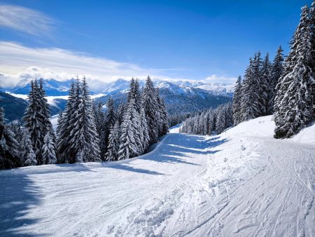 schlitteln