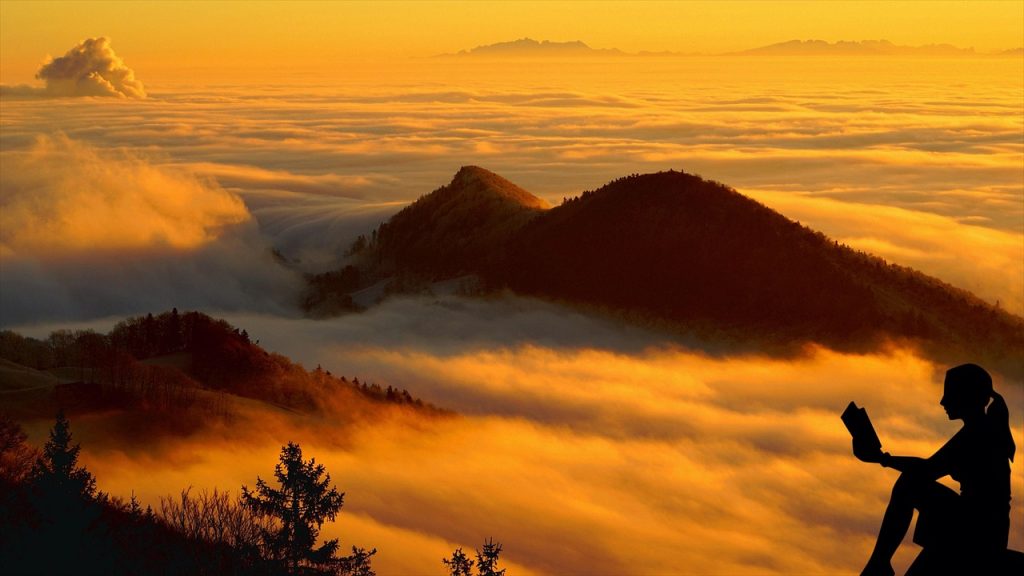 Unsere 10 meistgelesenen Artikel und meistgesehenen Videos im Jahr 2025 meistgelesen