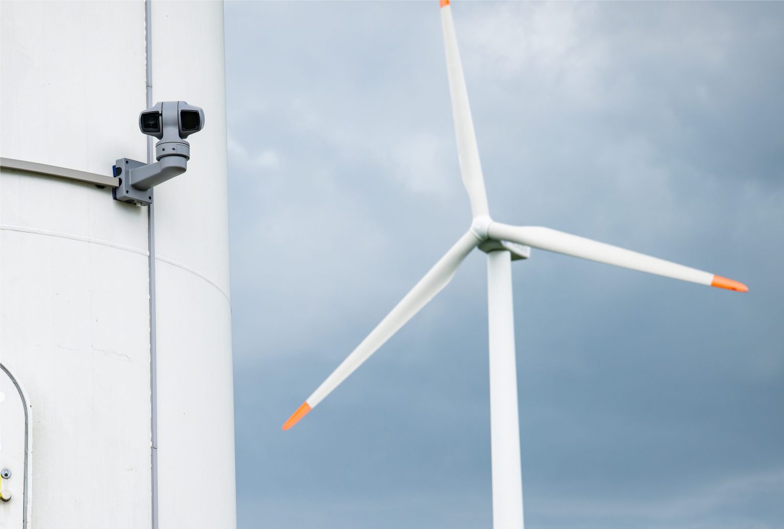 Vogelschutz trifft Windenergie: KI und Netzwerk-Kameras zur Kollisionsvermeidung in Windparks vogelschutz