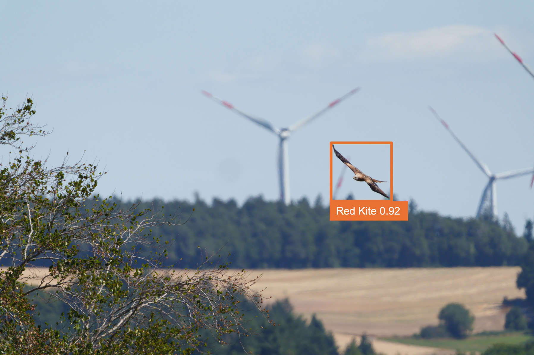 vogelschutz