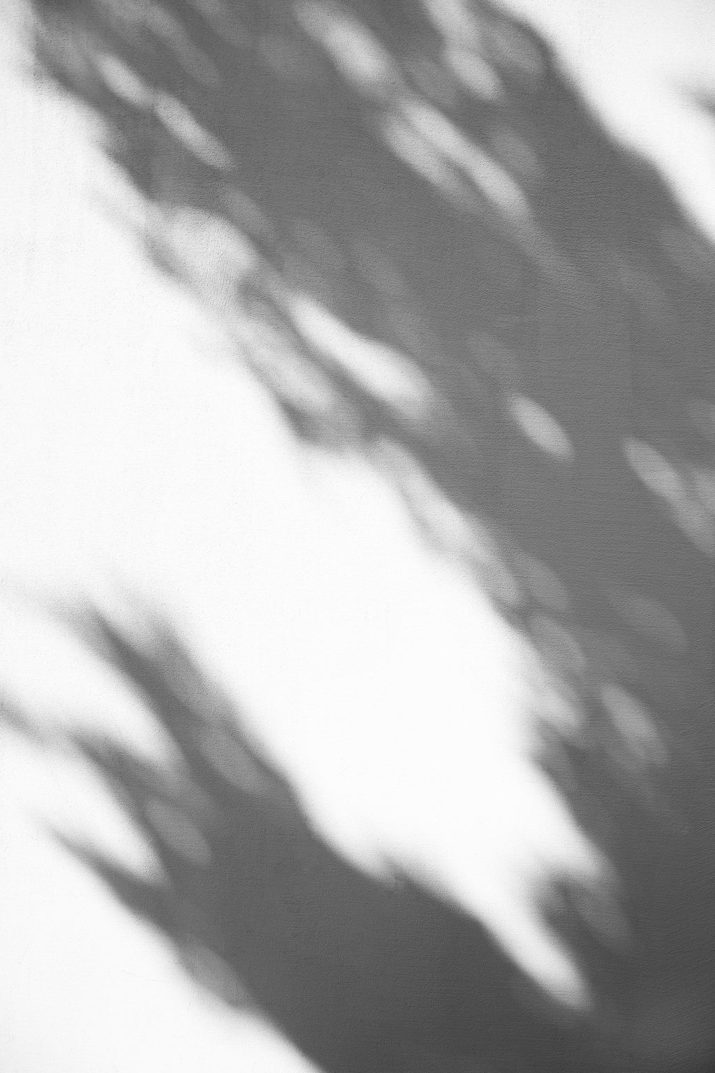 schatten-ki