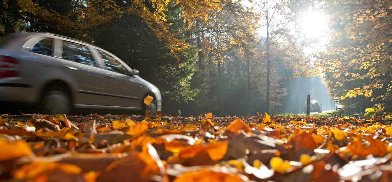 Diese Gefahren drohen im Herbst auf der Strasse herbst
