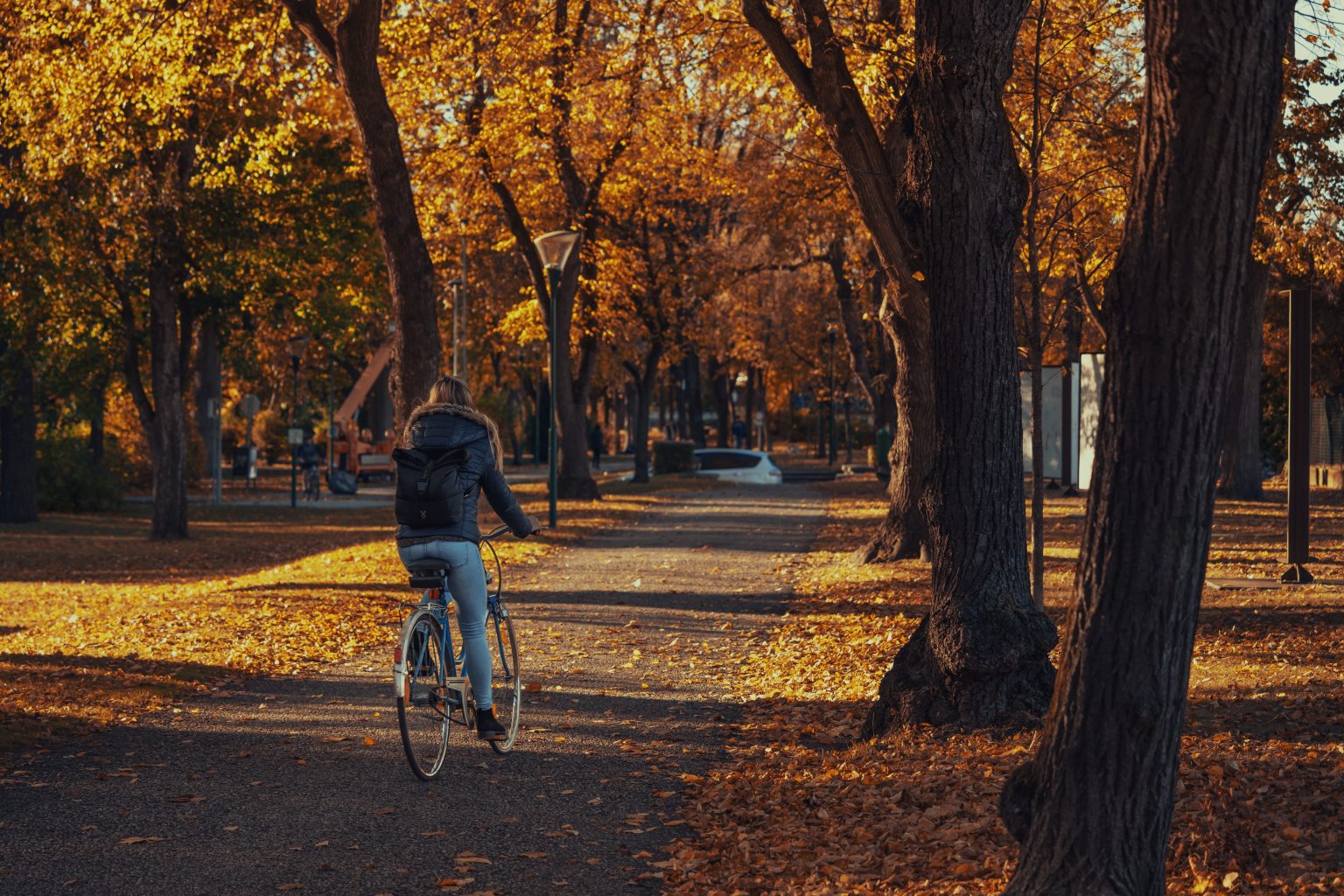 velo